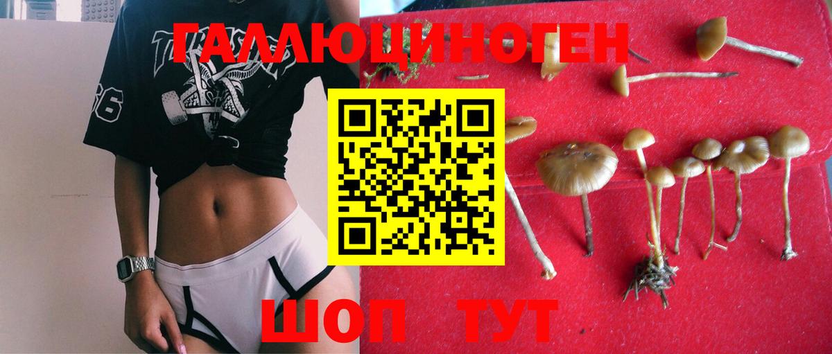 Галлюциногенные грибы GOLDEN TEACHER Туймазы